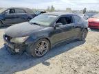 SCION TC 2012
