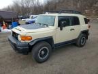 TOYOTA FJ CRUISER 2010