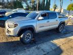 TOYOTA TACOMA 2023