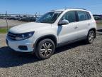 VOLKSWAGEN TIGUAN 2016