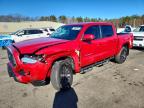 TOYOTA TACOMA 2023