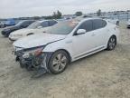 KIA OPTIMA HYBRID 2016