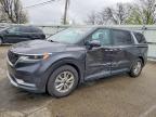 KIA CARNIVAL 2024