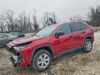 TOYOTA RAV4 2025