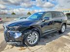 TOYOTA GRAND HIGHLANDER 2024