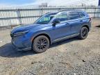 HONDA CR-V 2025