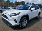 TOYOTA RAV4 2025