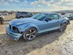FORD MUSTANG 2005