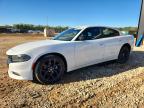 DODGE CHARGER 2022