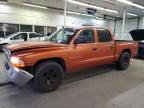 DODGE DAKOTA 2000