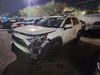TOYOTA RAV4 2024