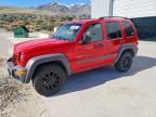 JEEP LIBERTY 2002