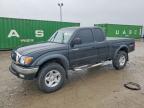 TOYOTA TACOMA 2004