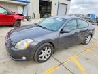 NISSAN MAXIMA 2006