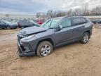 TOYOTA RAV4 2024