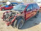 TOYOTA RAV4 2024