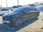 HONDA ODYSSEY 2025