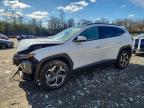HYUNDAI TUCSON HYBRID 2024