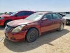 NISSAN ALTIMA 2010