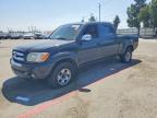 TOYOTA TUNDRA 2005