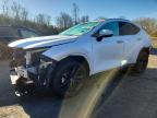 LEXUS NX 450H+ 2022