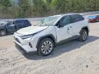 TOYOTA RAV4 2024