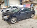 NISSAN MAXIMA 2014