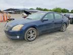 NISSAN MAXIMA 2006