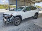 TOYOTA RAV4 HYBRID 2024