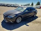 LEXUS ES 2019