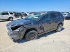 TOYOTA RAV4 2024