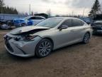LEXUS ES 2019