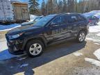 TOYOTA RAV4 2021