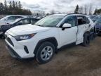 TOYOTA RAV4 2020