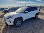 TOYOTA RAV4 2024