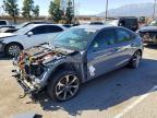 HONDA CIVIC 2025