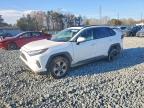 TOYOTA RAV4 2023