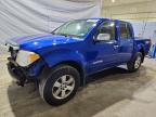 SUZUKI EQUATOR 2012