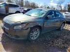 NISSAN MAXIMA 2010