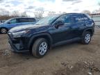 TOYOTA RAV4 2025