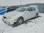 LEXUS ES 330 2006