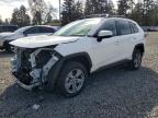 TOYOTA RAV4 HYBRID 2024