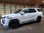 HYUNDAI PALISADE 2025