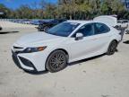 TOYOTA CAMRY 2023