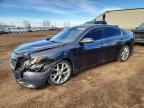 NISSAN MAXIMA 2011
