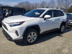 TOYOTA RAV4 2025