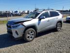 TOYOTA RAV4 HYBRID 2024