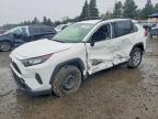 TOYOTA RAV4 2019