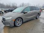 HONDA ODYSSEY 2021