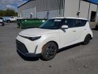 KIA SOUL 2024